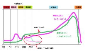 マタニティ 整体サロン からだの杜